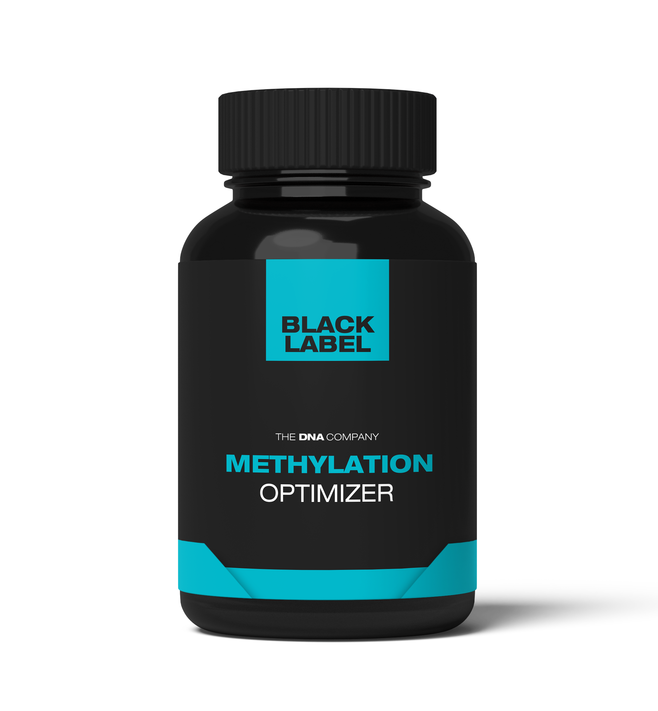 Methylation Optimizer